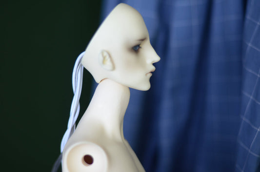 New doll in the crew